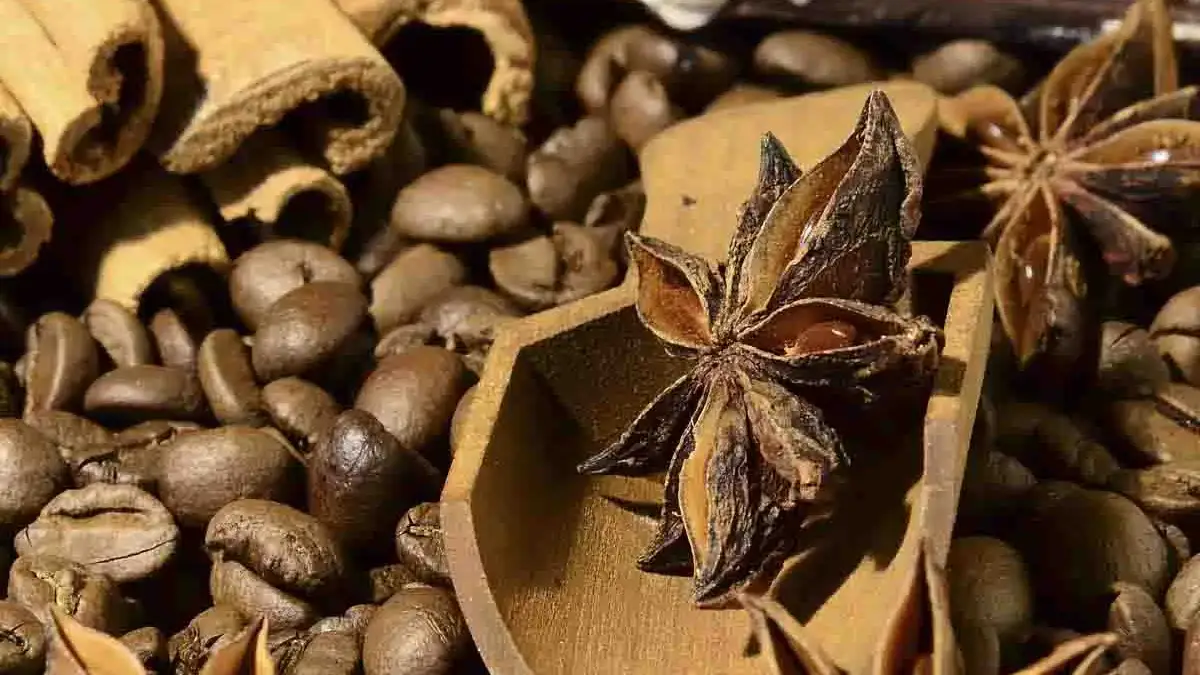 Landscapes and Gardens photos