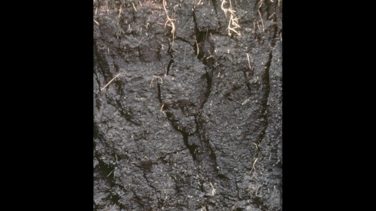 Vertisols layers of soil