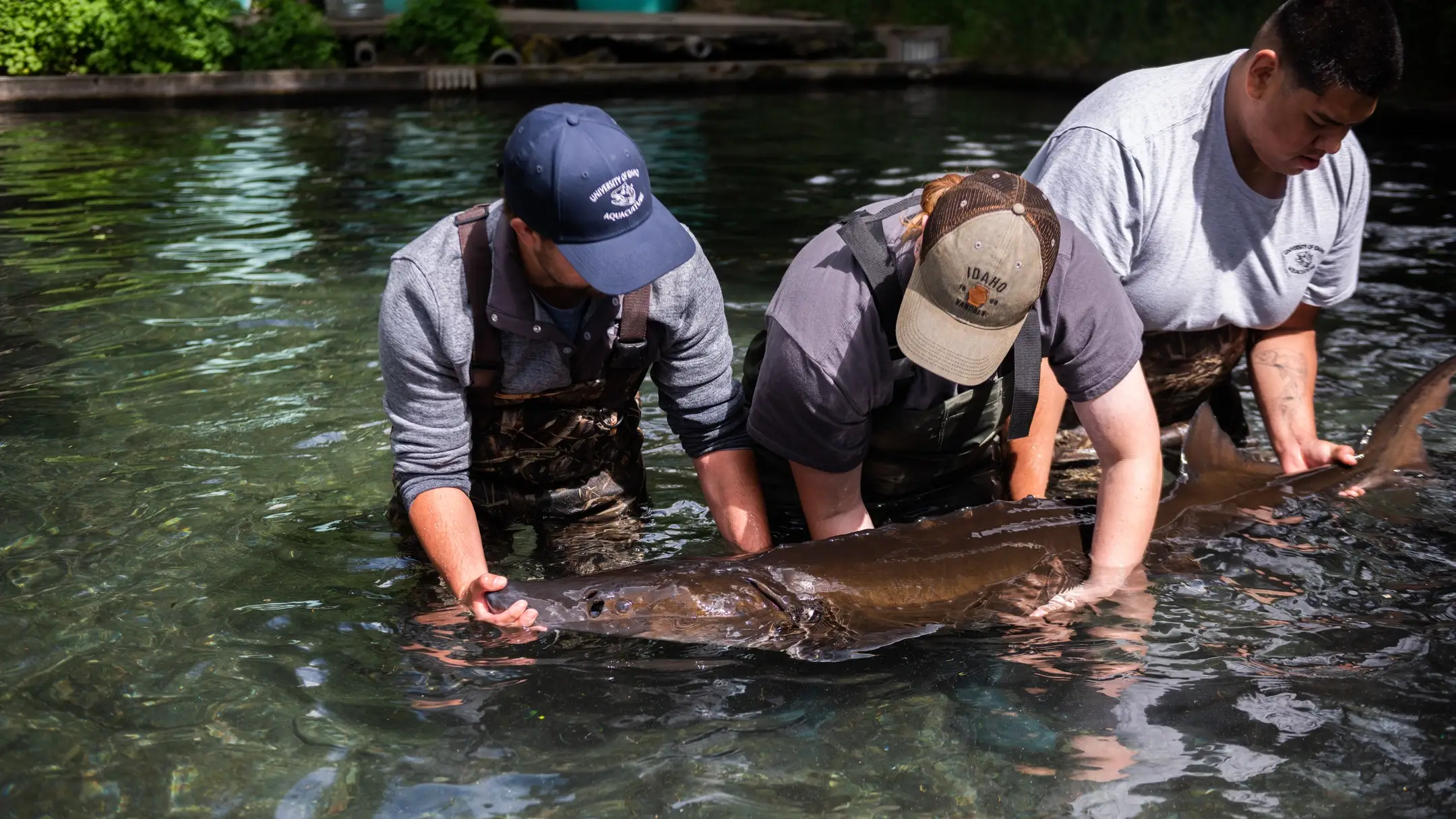 University Communications and Marketing Statewide tour 2020