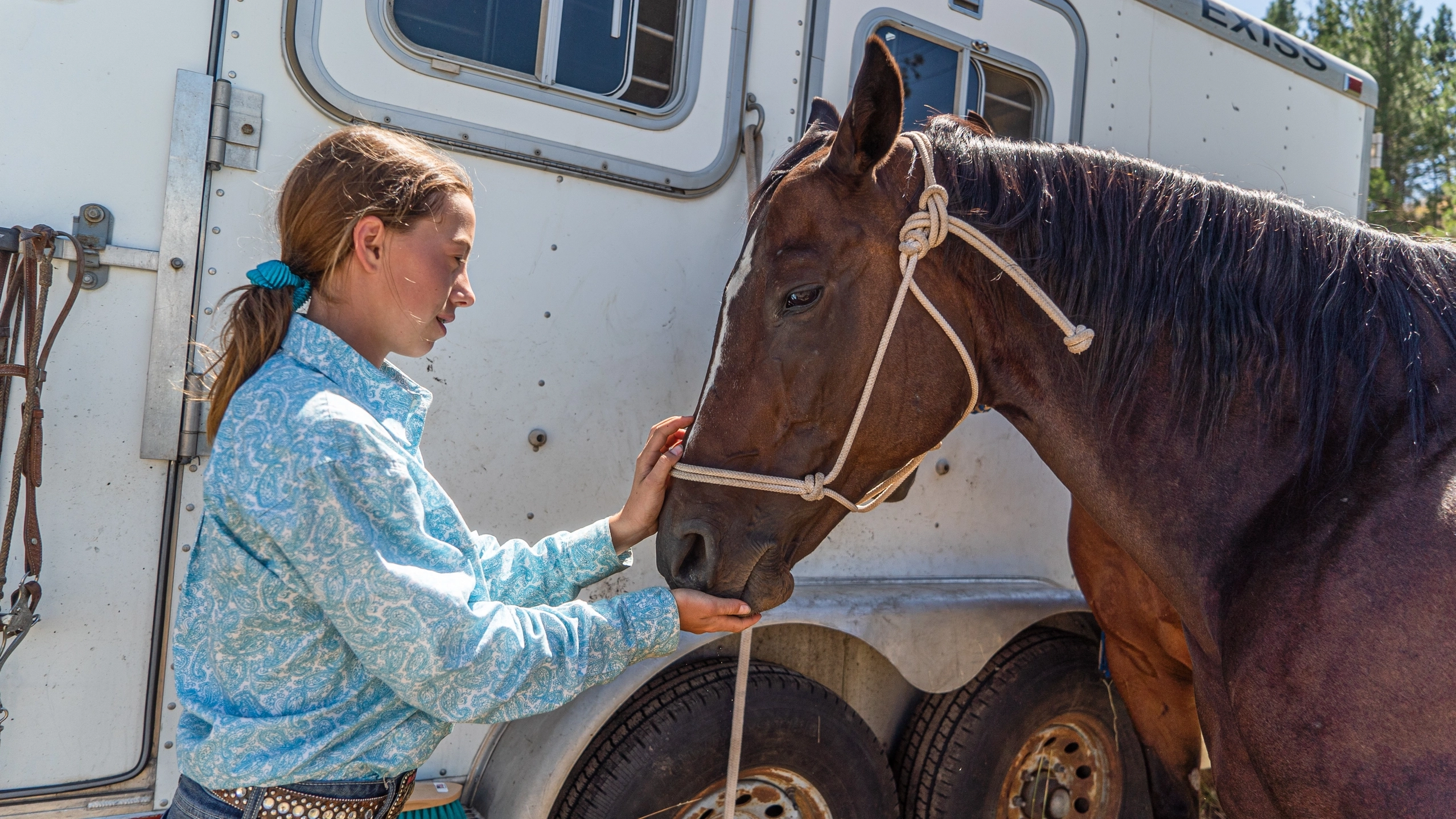 4-h horse and shooting sports photos for website