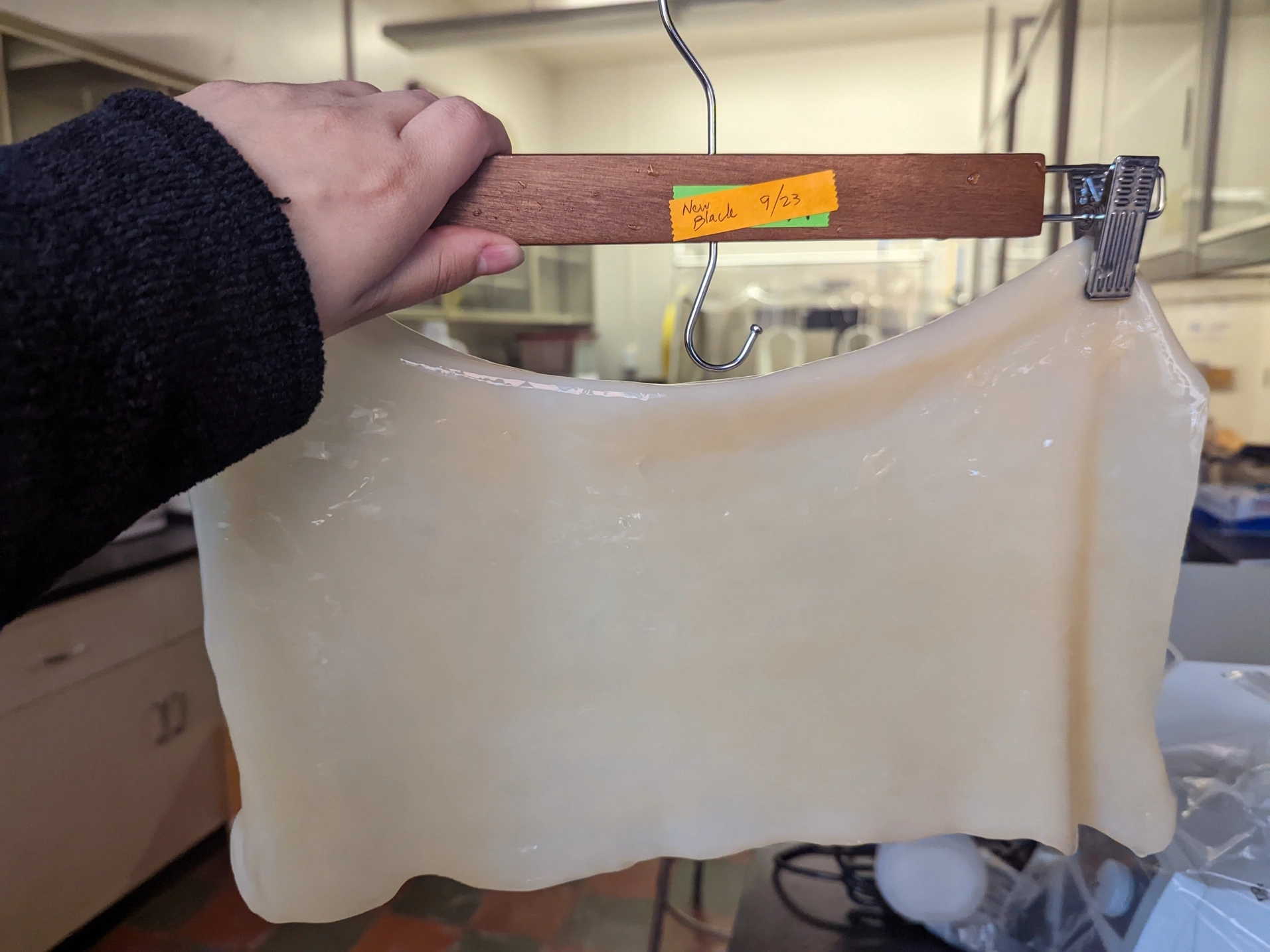 A SCOBY hangs from a hanger in a lab to dry