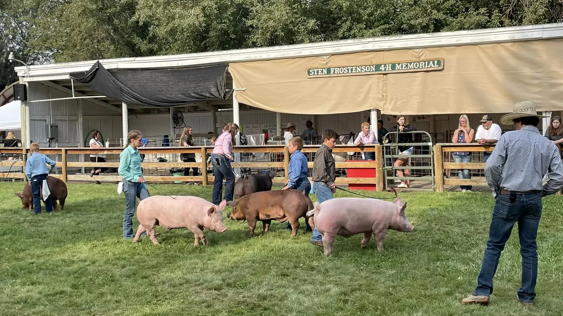 4-H photos and files located in counties