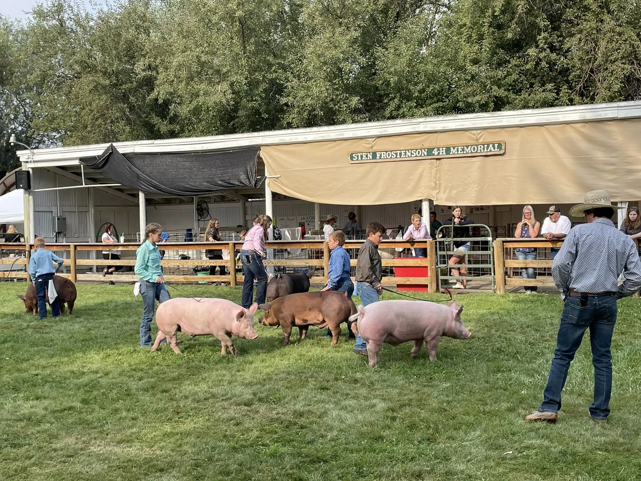 4-H photos and files located in counties