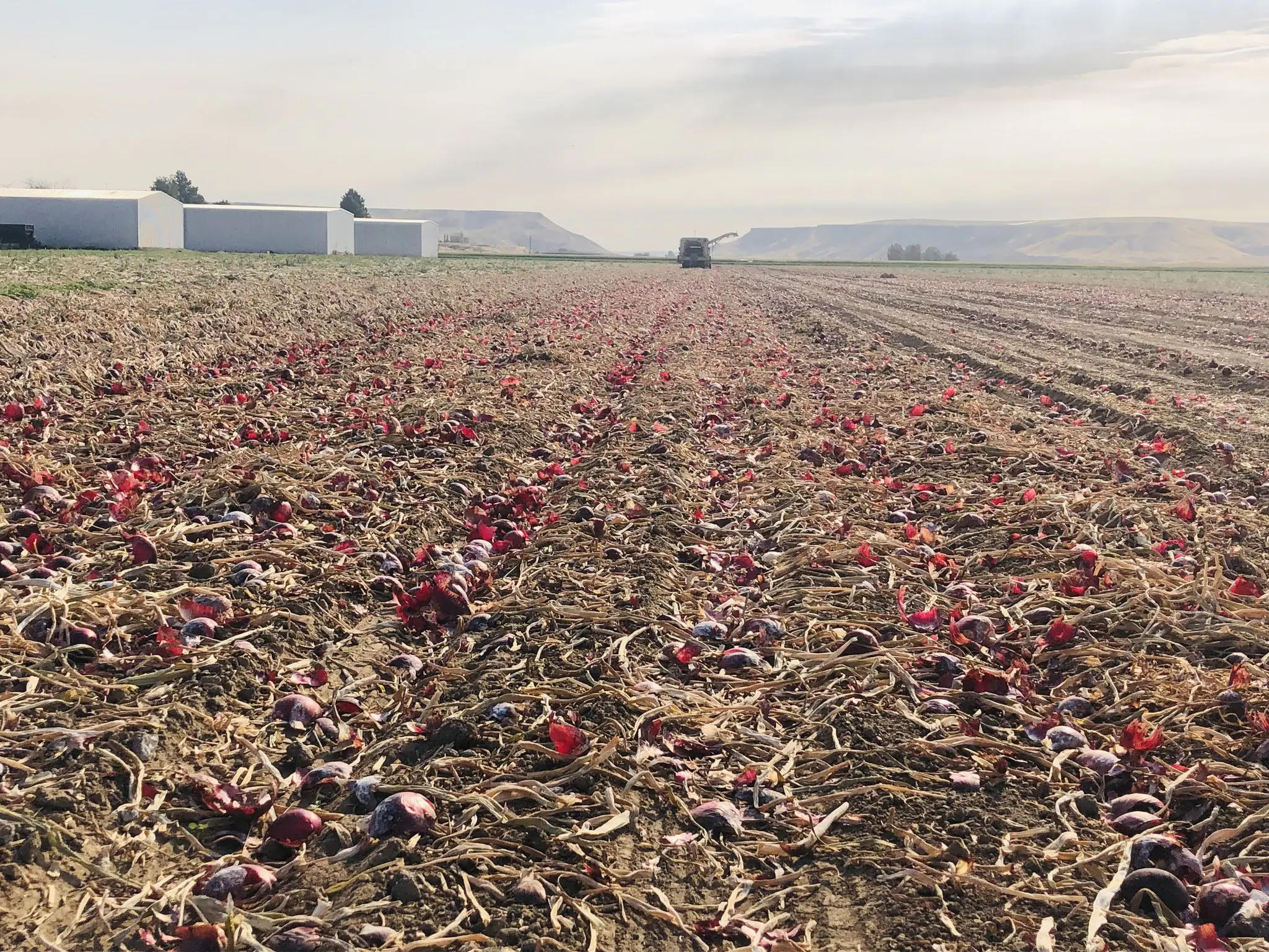 UI Extension program photos and files in counties