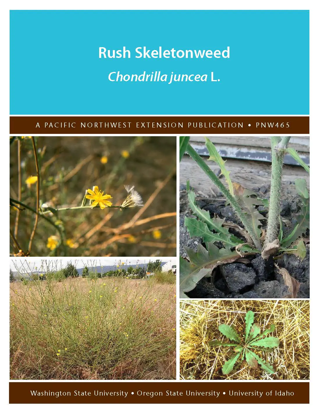 pnw-0465 cover.jpg
