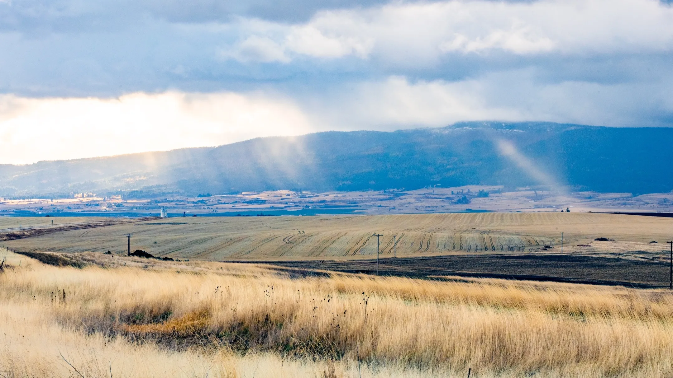 The Camas Prairie near Grangeville Idaho in the fall