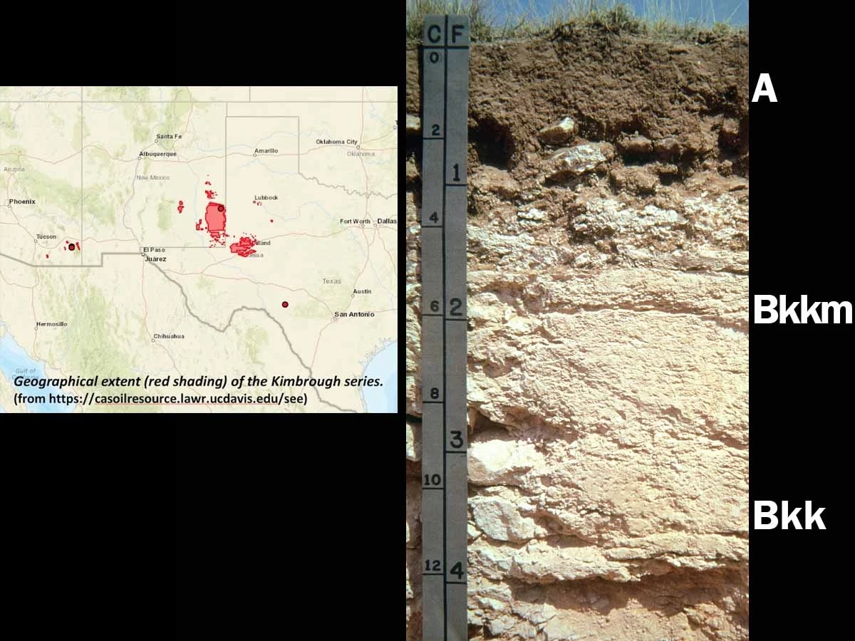 Petrocalcic calciustoll in New Mexico