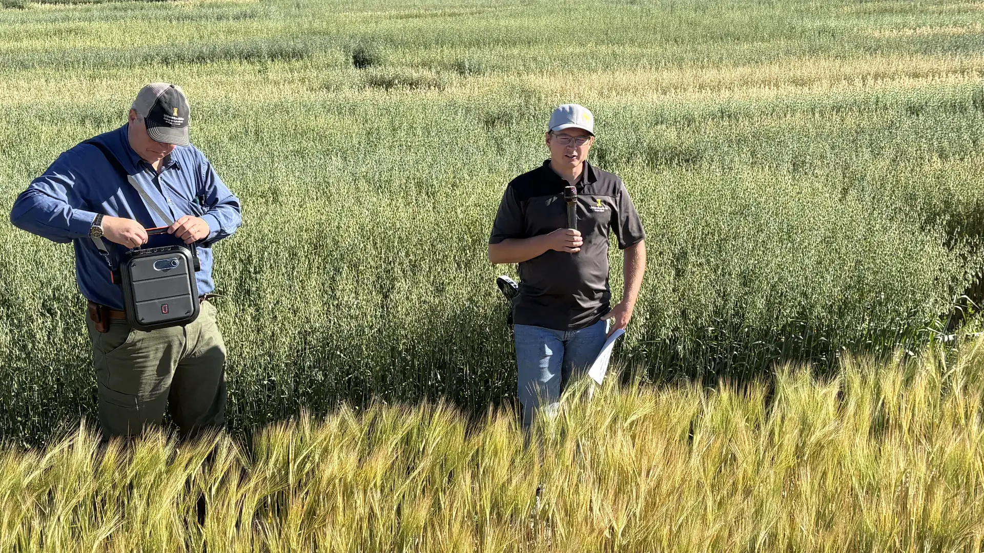 Two men stand in a field of grain.