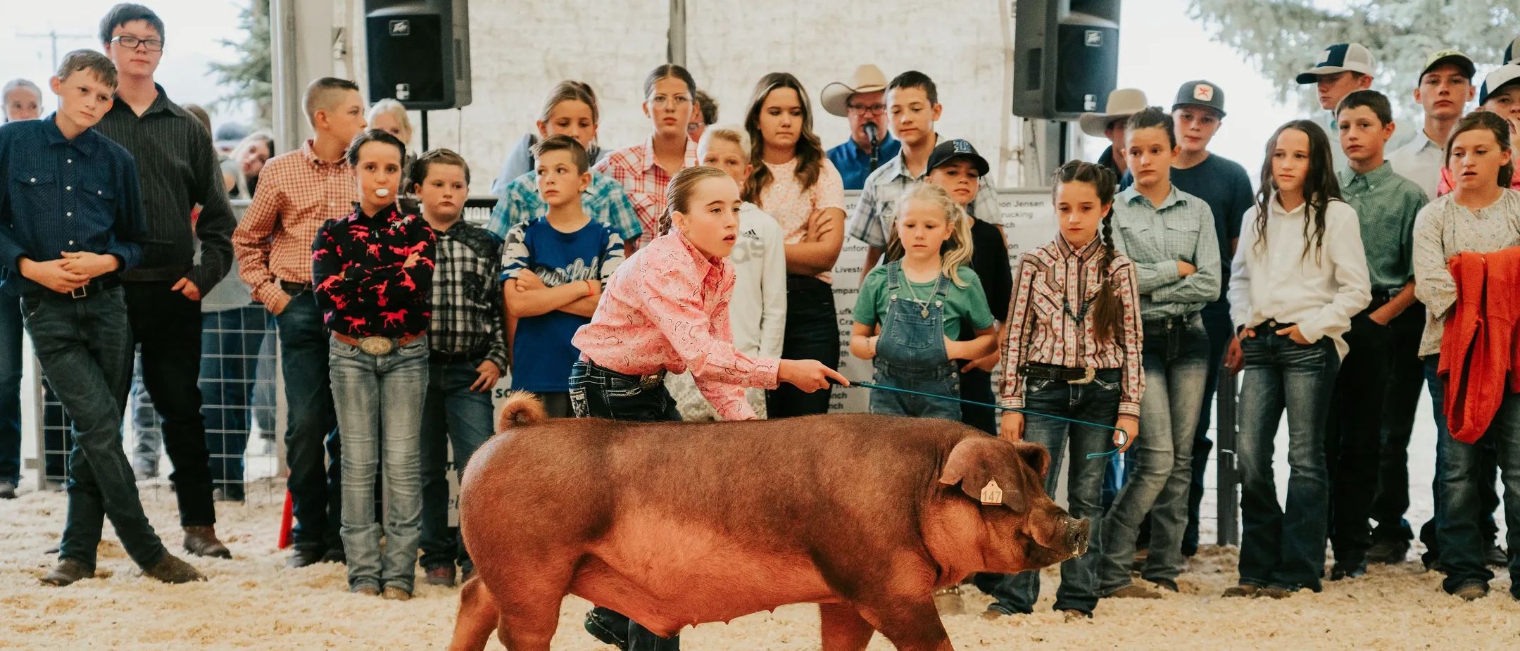 Youth shows a pig while crowd watches