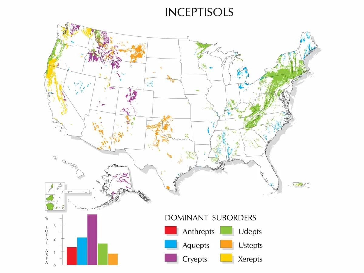 Inceptisols dominate suborders in the United States