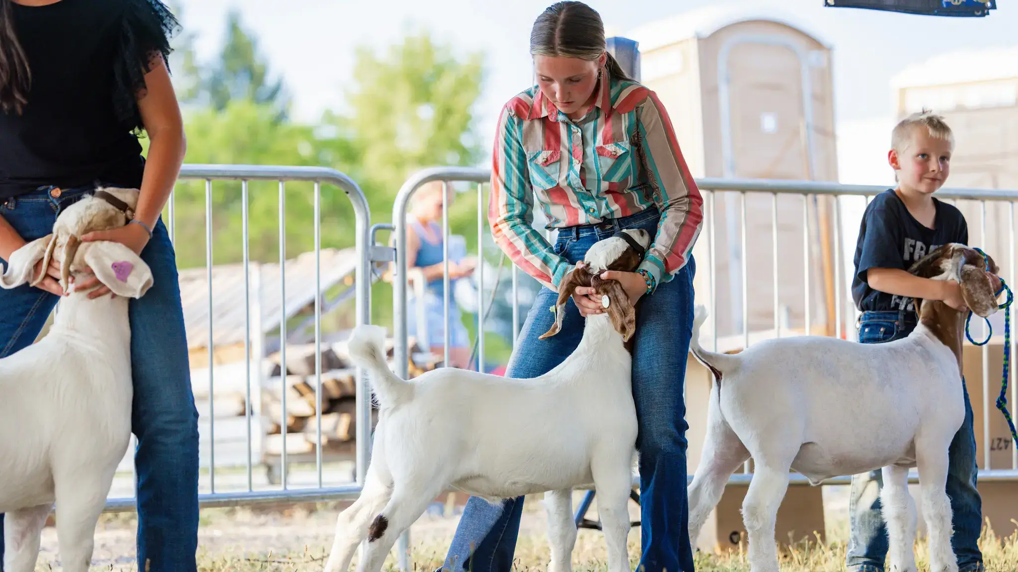 4-H youth photos across the state