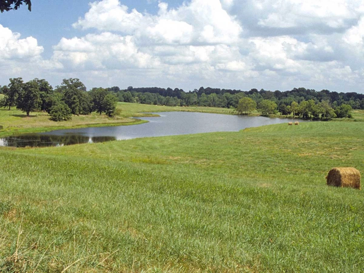 Piedmont ultisol landscape grassy waterway