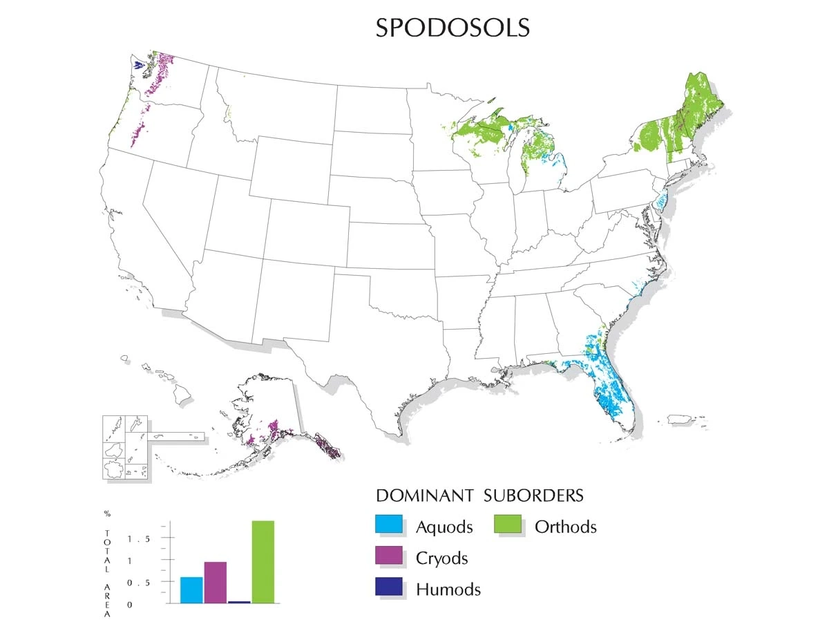 Dominant suborders in the United States of spodosols