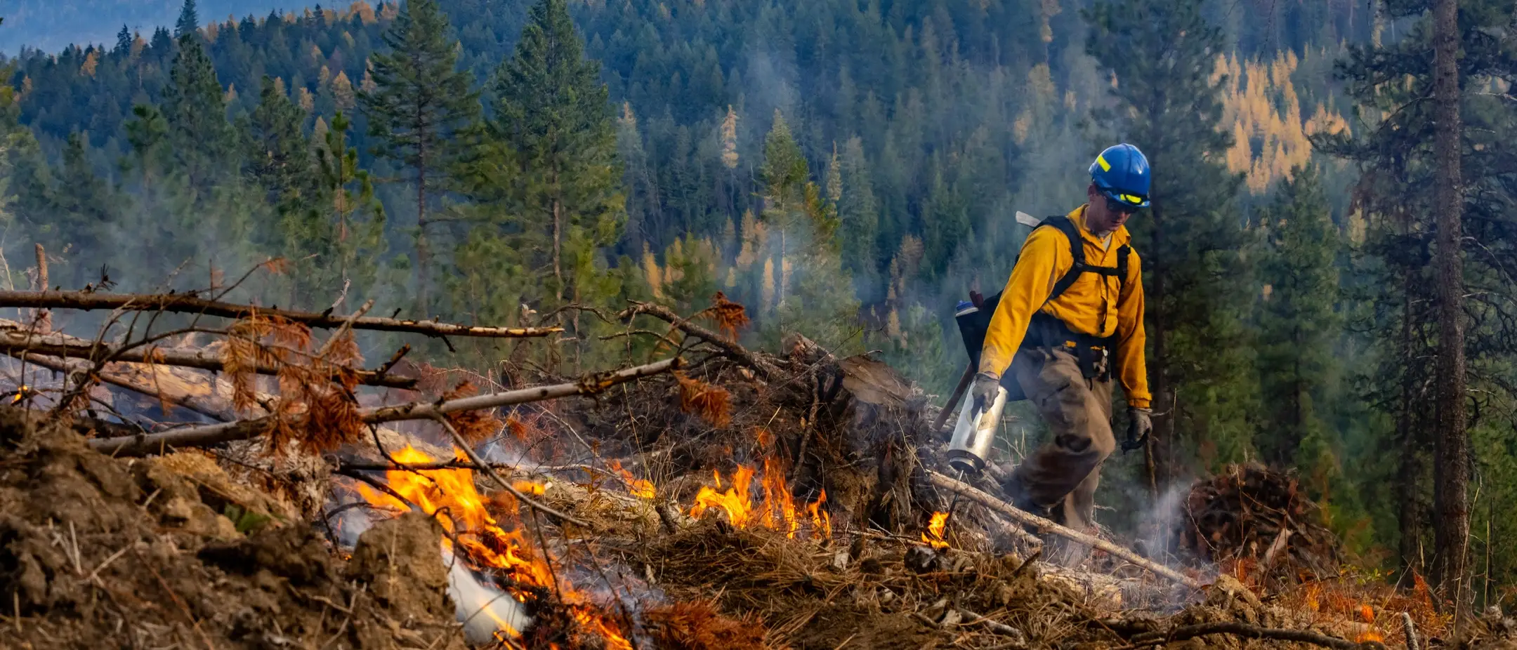 College of Natrual Resource University of Idaho Experimental Forest prescribed burn