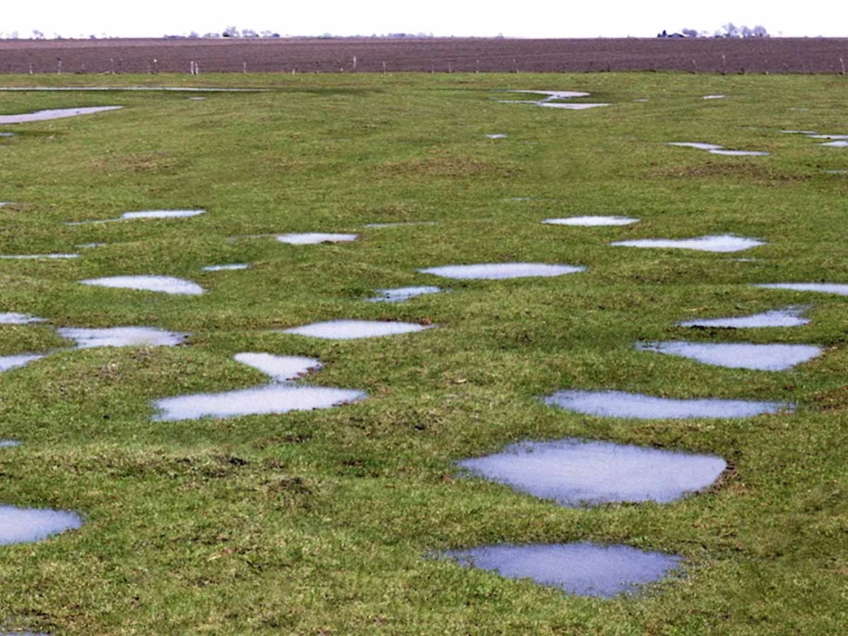 Gilgai landscape pattern in Texas shows puddles