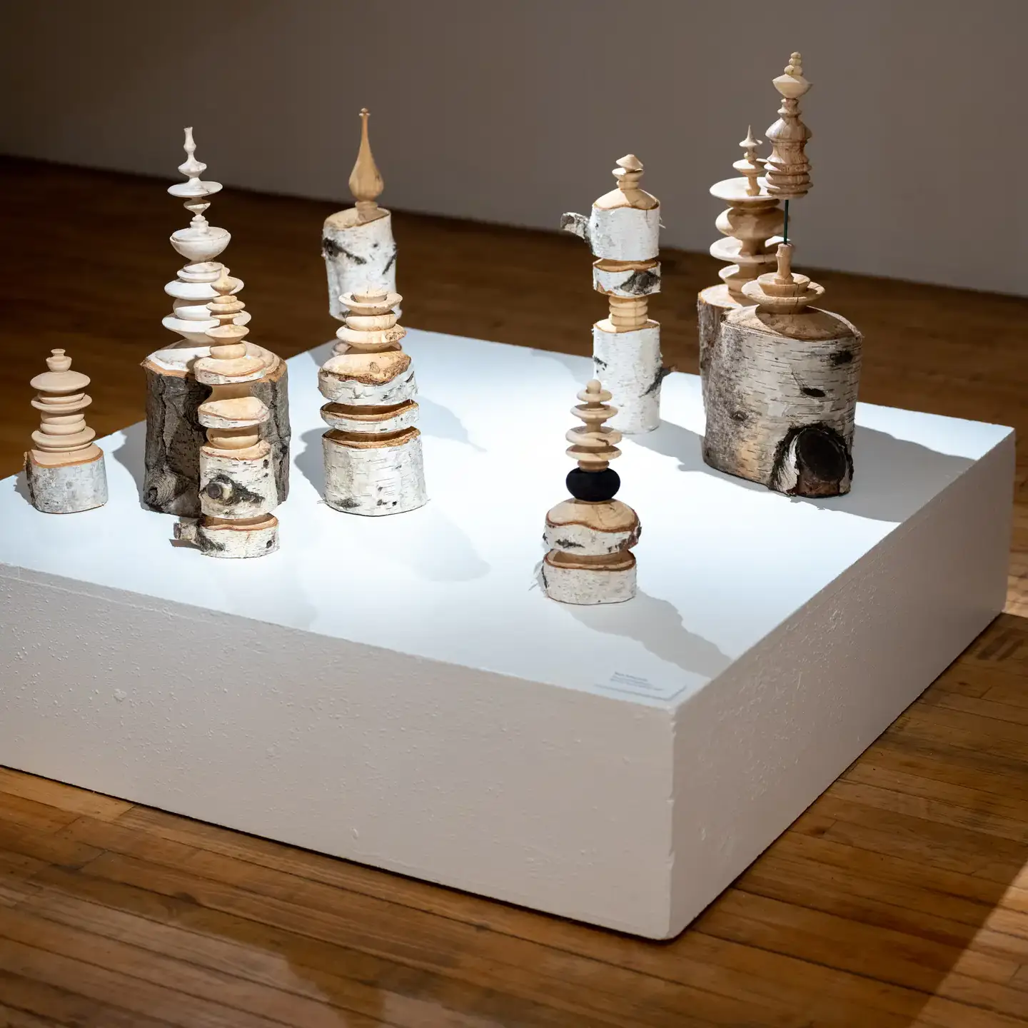 College of Art and Architecutre Master of Fine Art exhibition