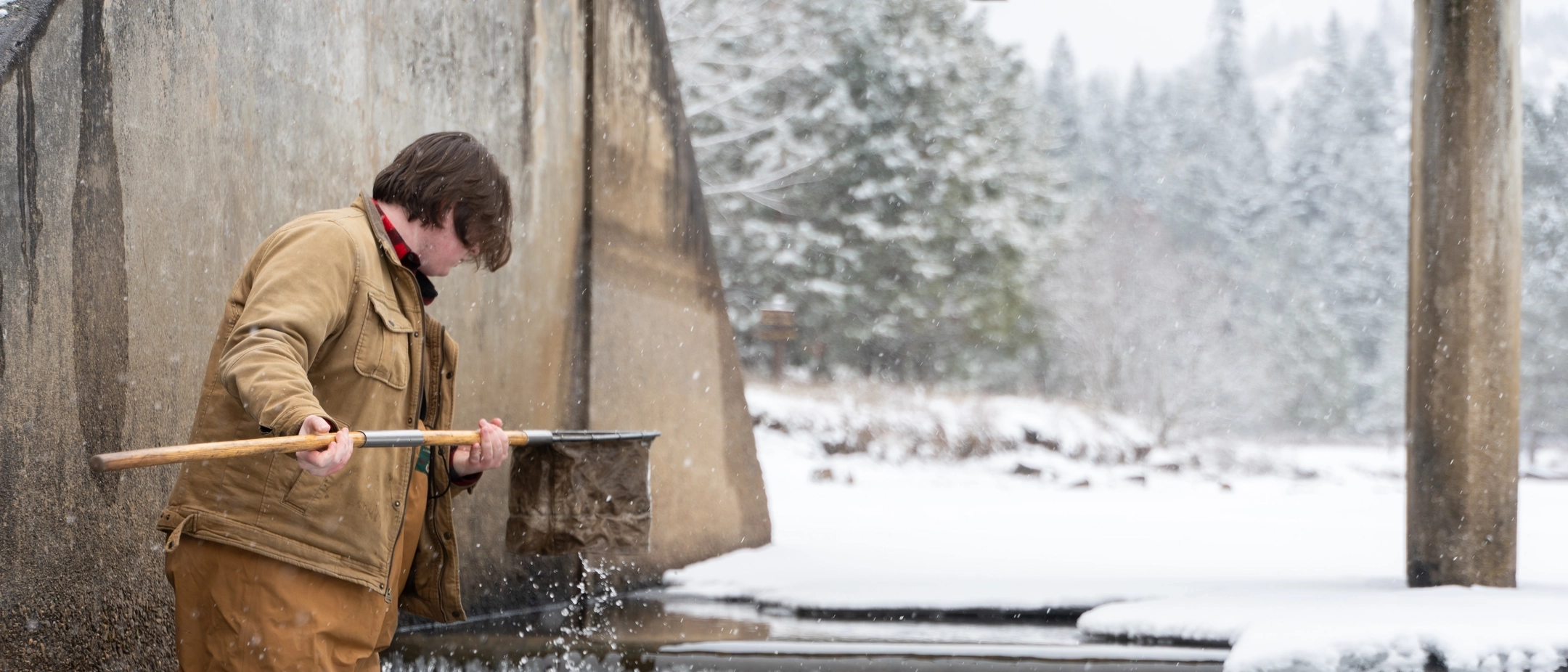 Fisheries student Jack Stafford earned a scholarship to study insects in streams. He is pictured collecting aquatic insects in a stream near Potlatch, Idaho.