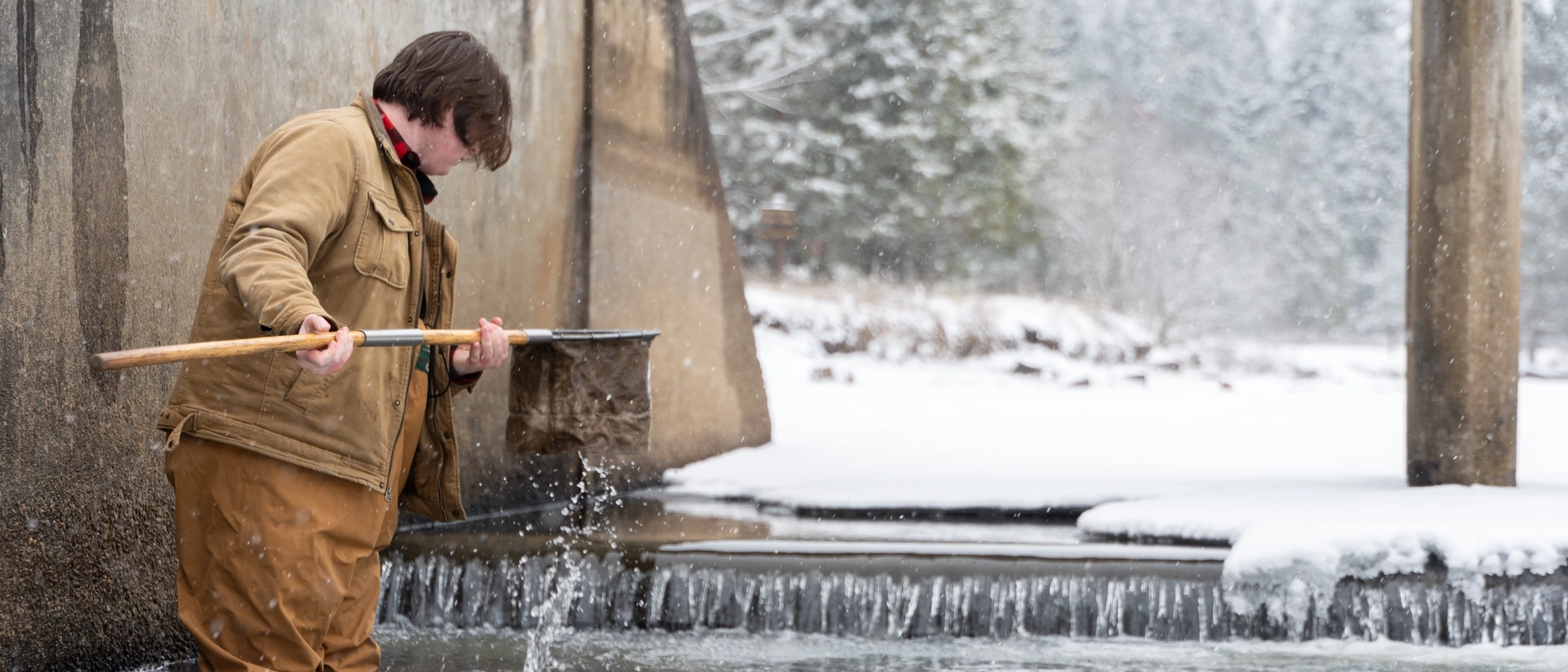 Fisheries student Jack Stafford earned a scholarship to study insects in streams. He is pictured collecting aquatic insects in a stream near Potlatch, Idaho.