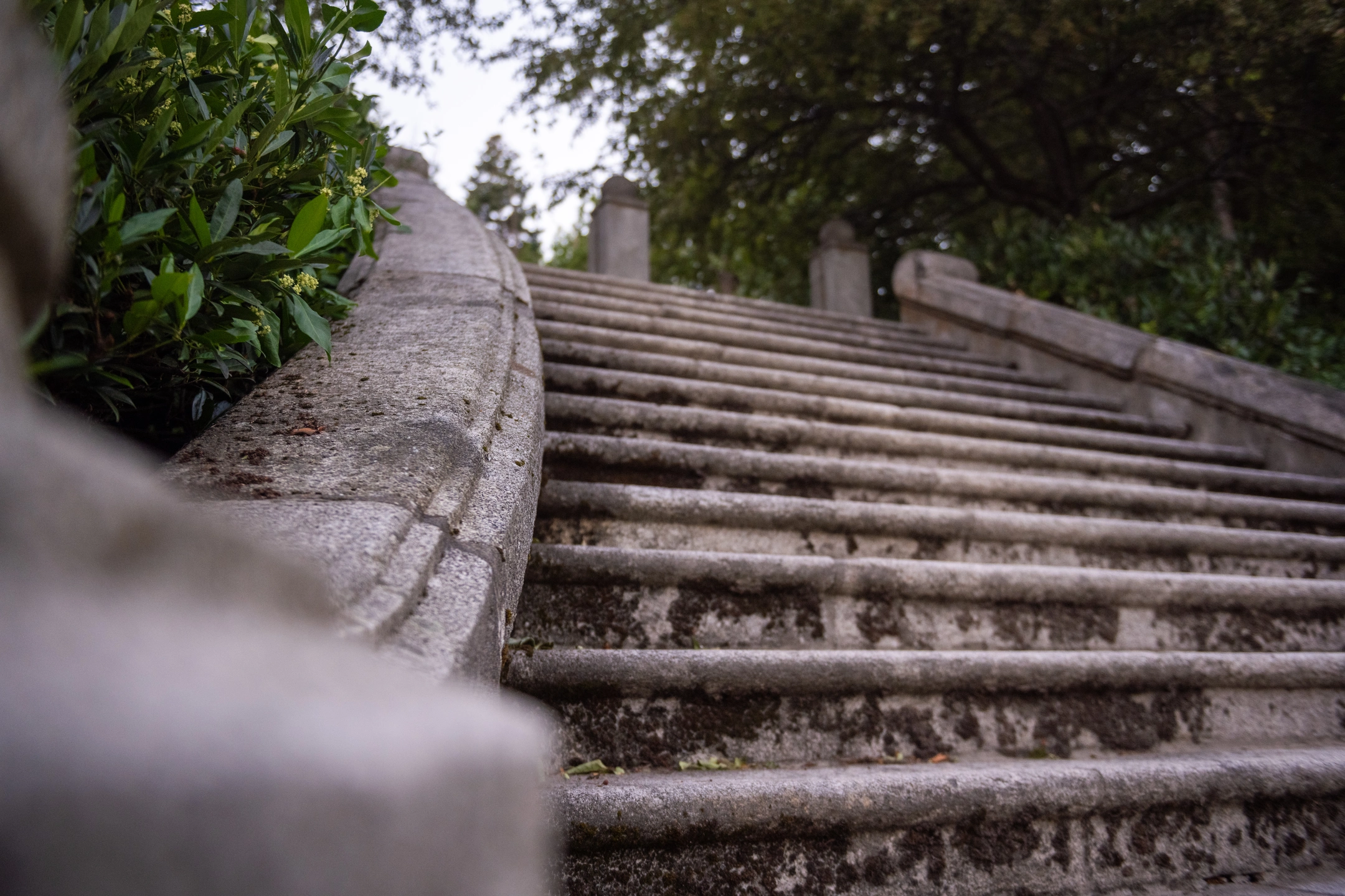 Stock Photos of Campus in the Summertime
