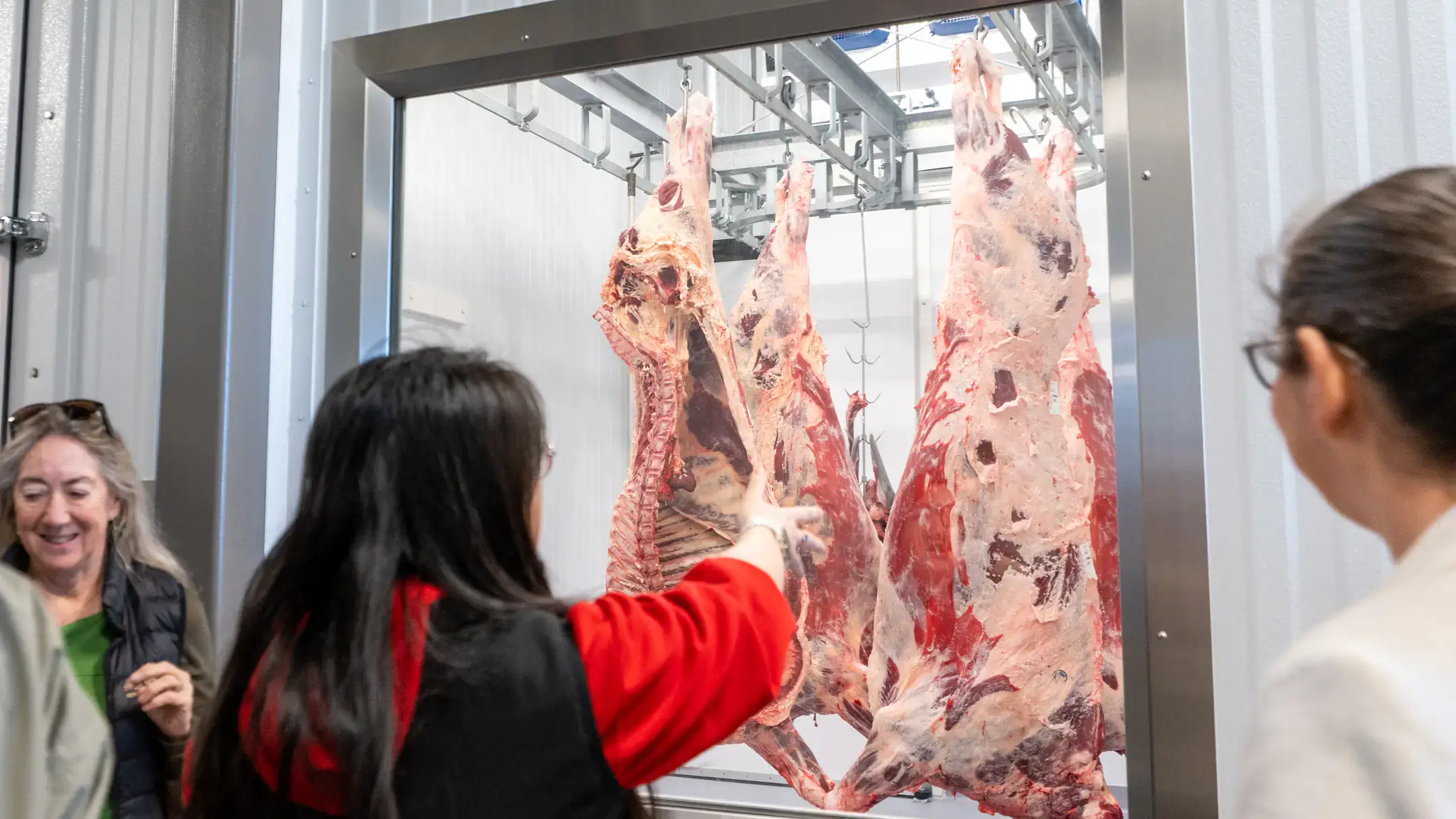 People look through a window at hanging beef carcasses.