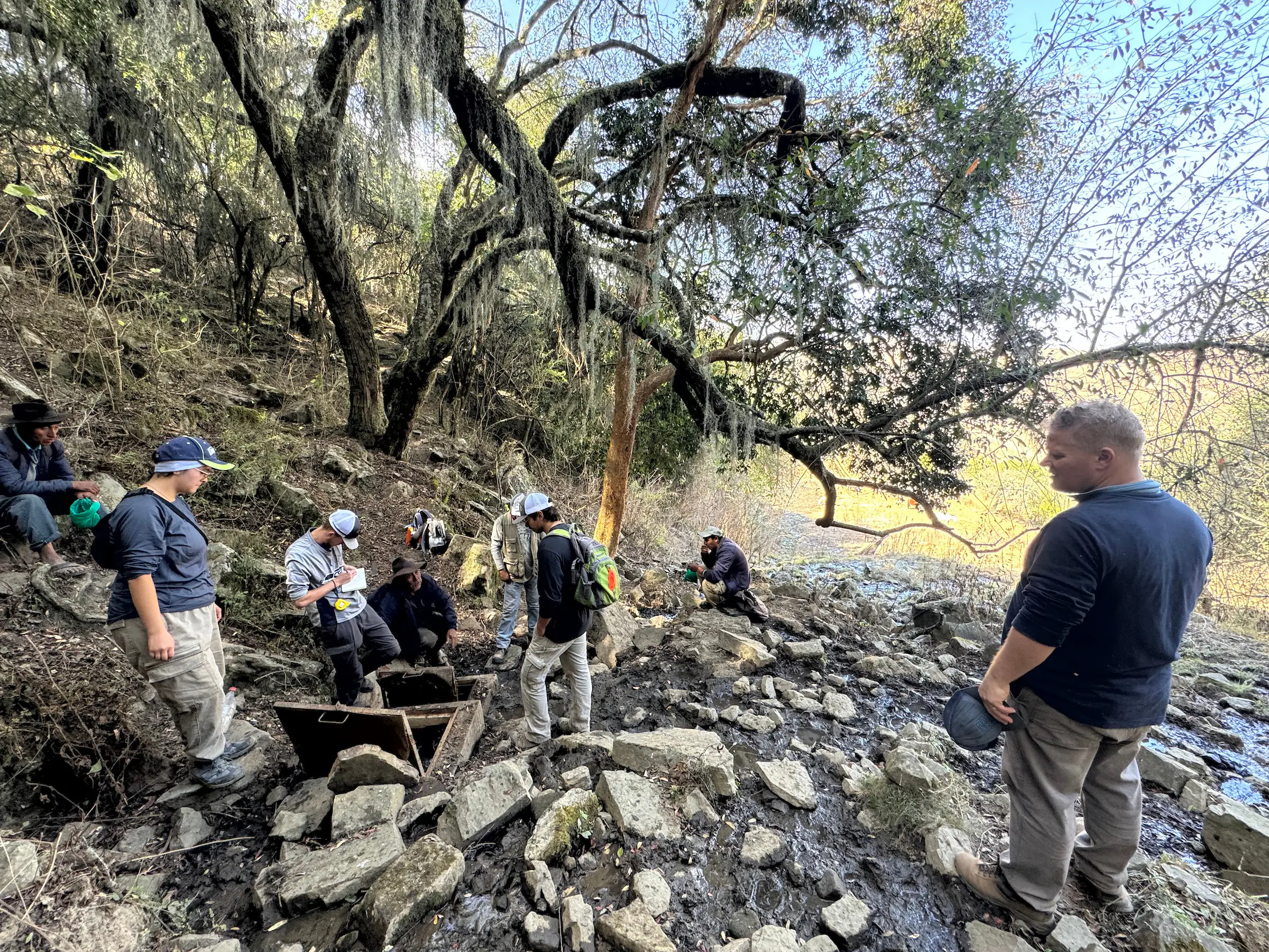 A group of researchers measure the flow rate of a spring