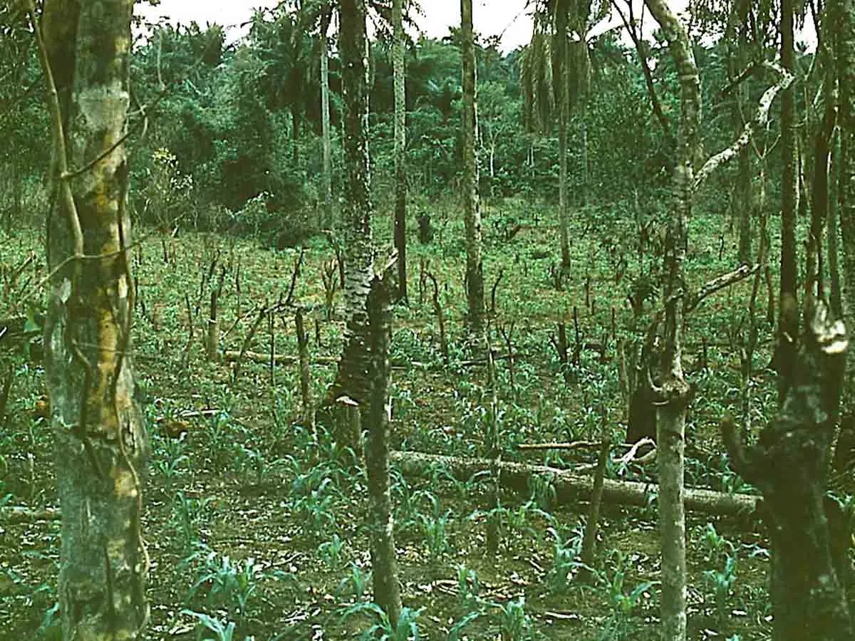 Udox landscape