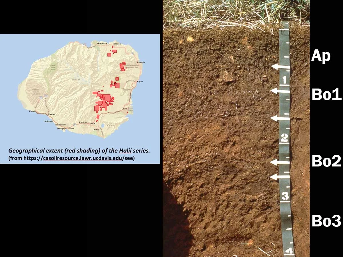 Anionic acroperox soil and map