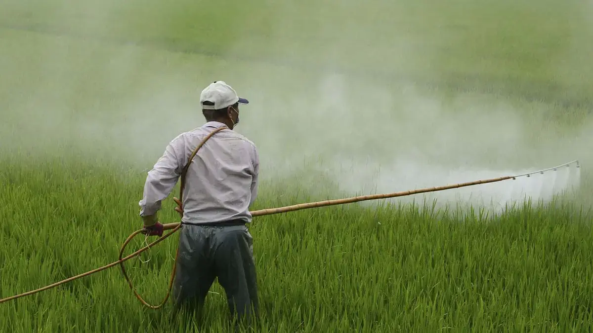 A man fertilizing a grass field.