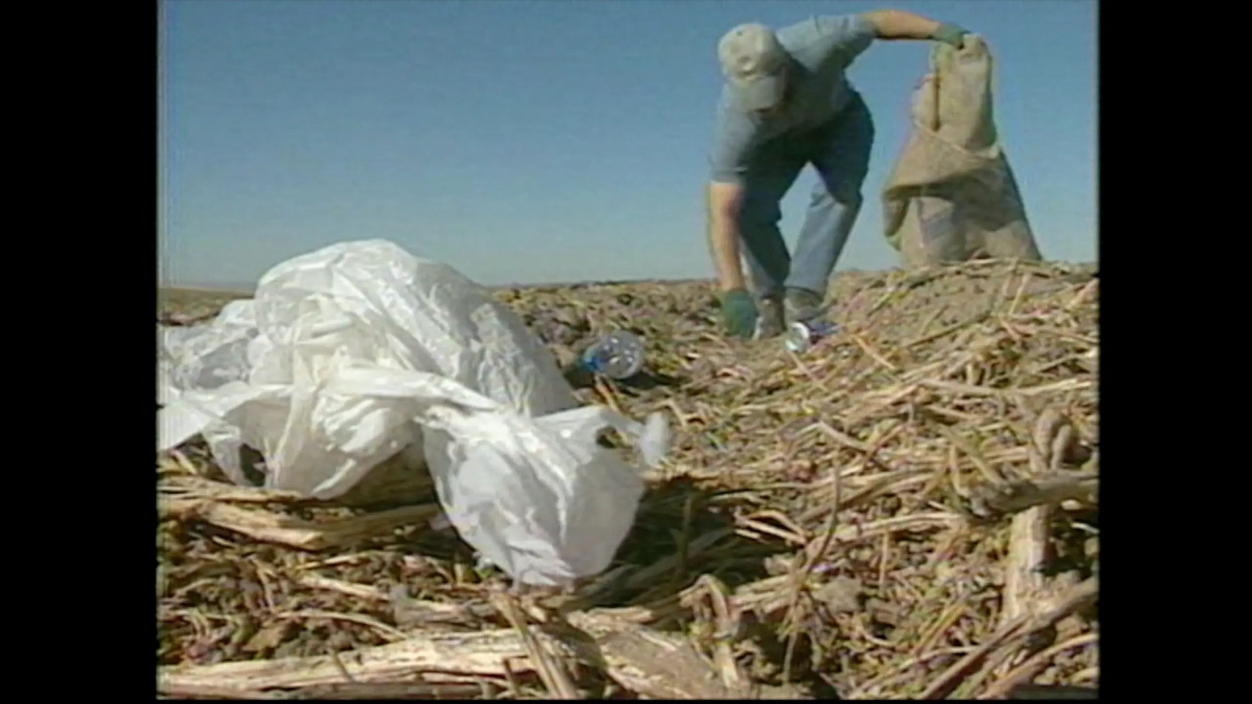 Foreign material found with a crop of potatoes