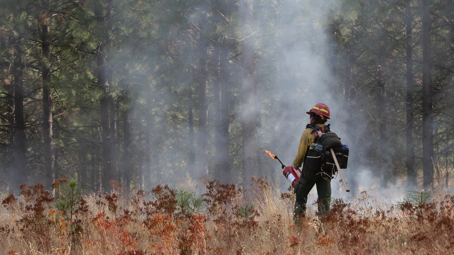 Jennifer in yellow helmet and jacket wearing a backpack watching a fire in front of trees.