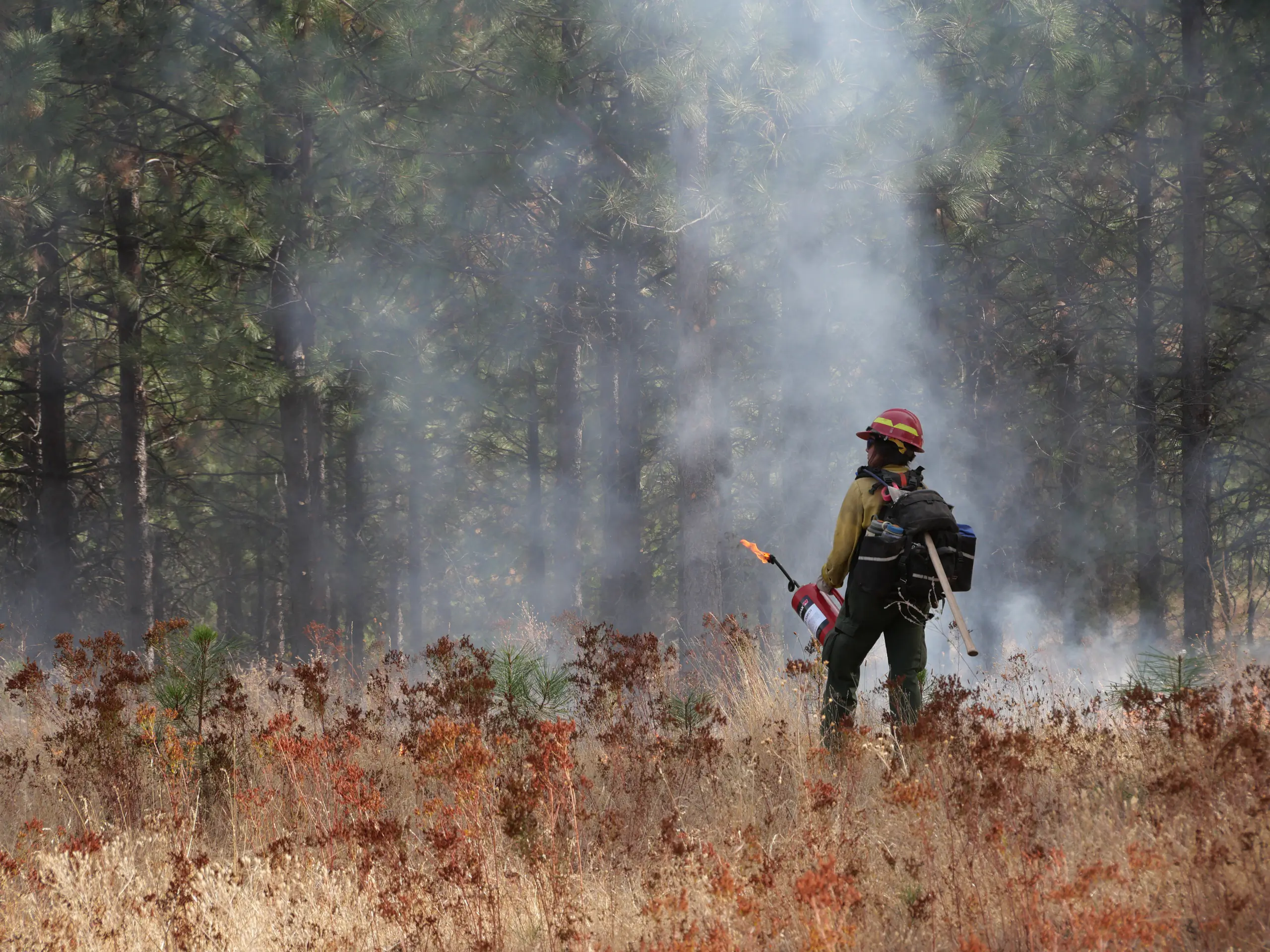 Jennifer in yellow helmet and jacket wearing a backpack watching a fire in front of trees.