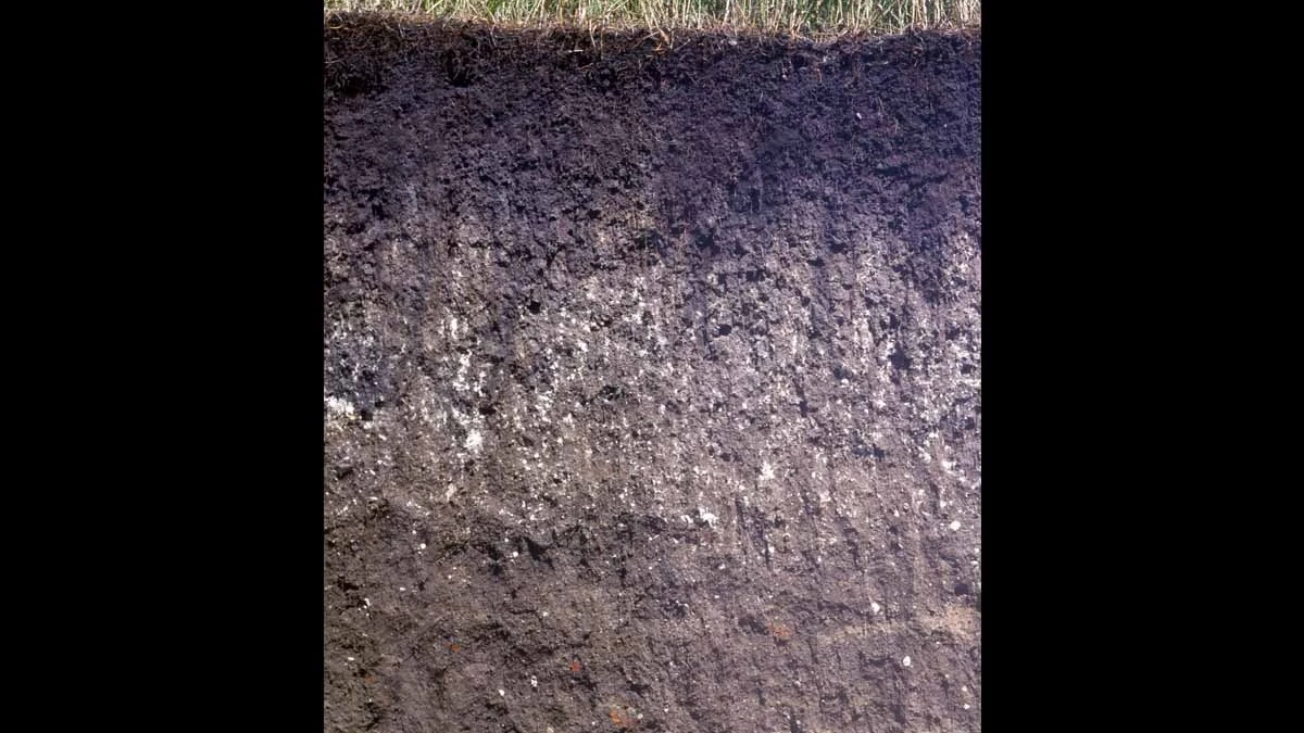 Mollisols levels