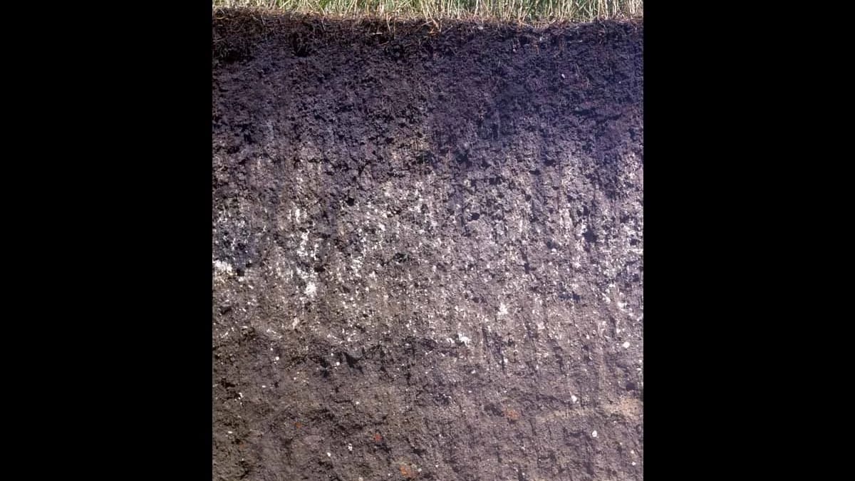 Mollisols levels