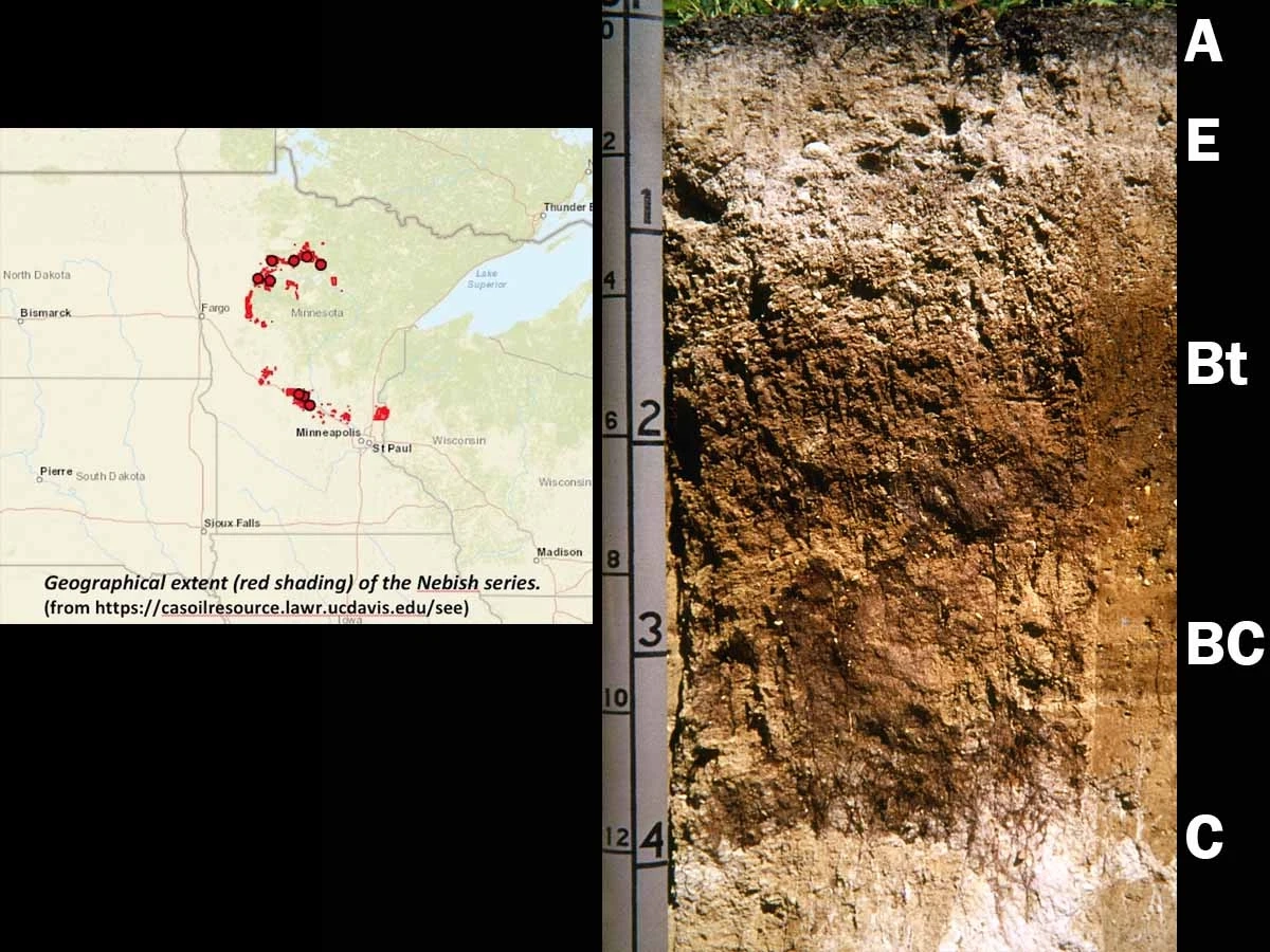 A geographical extent of the Nebish series where this alfisols was found.