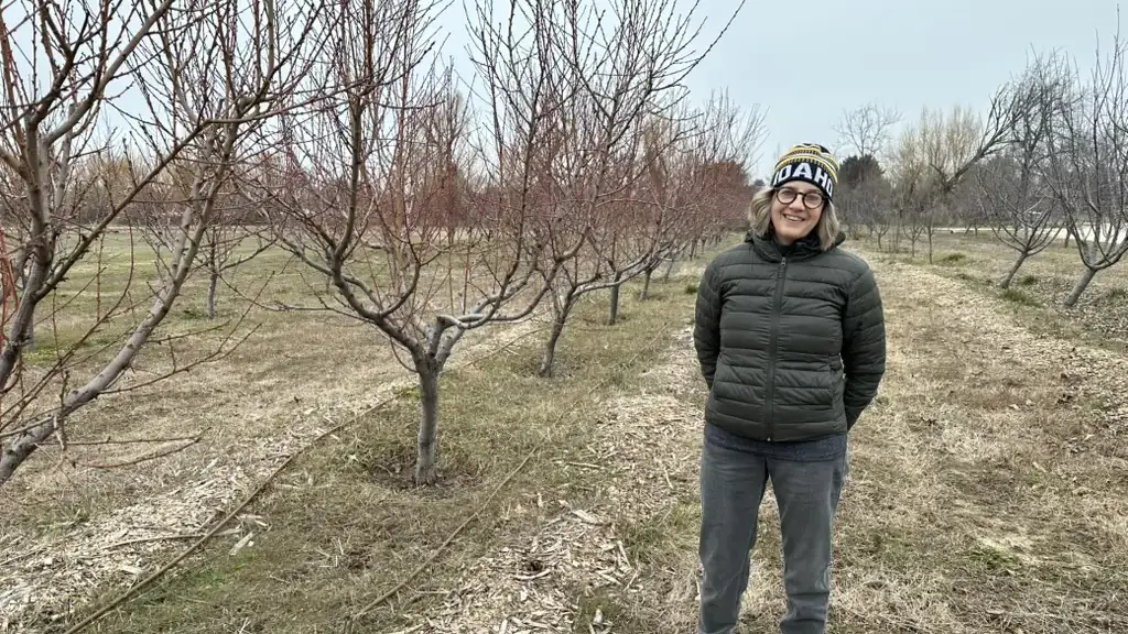 A woman in an orchard