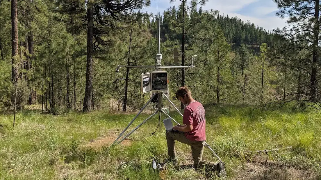 A man kneels before a weather station in a forest meadow.