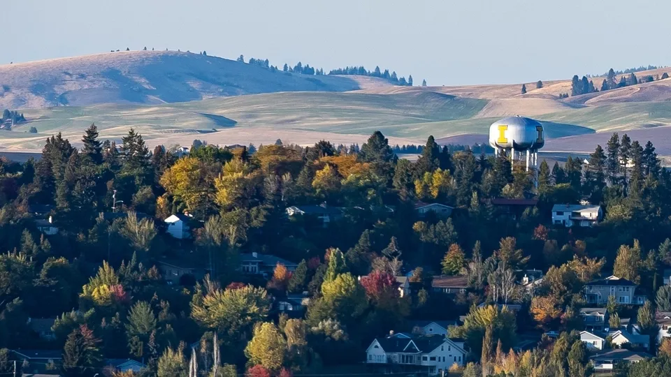 Palouse hills scenery in the fall.