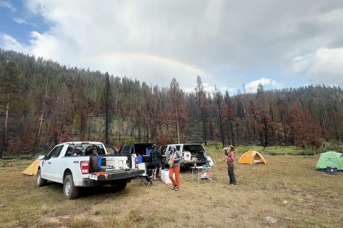 Multiple trucks and tents comprise research team camps out at a National Forest trail site.