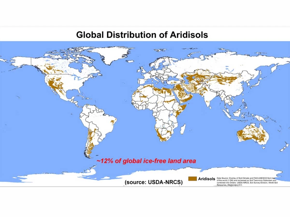 A graphic of aridisols