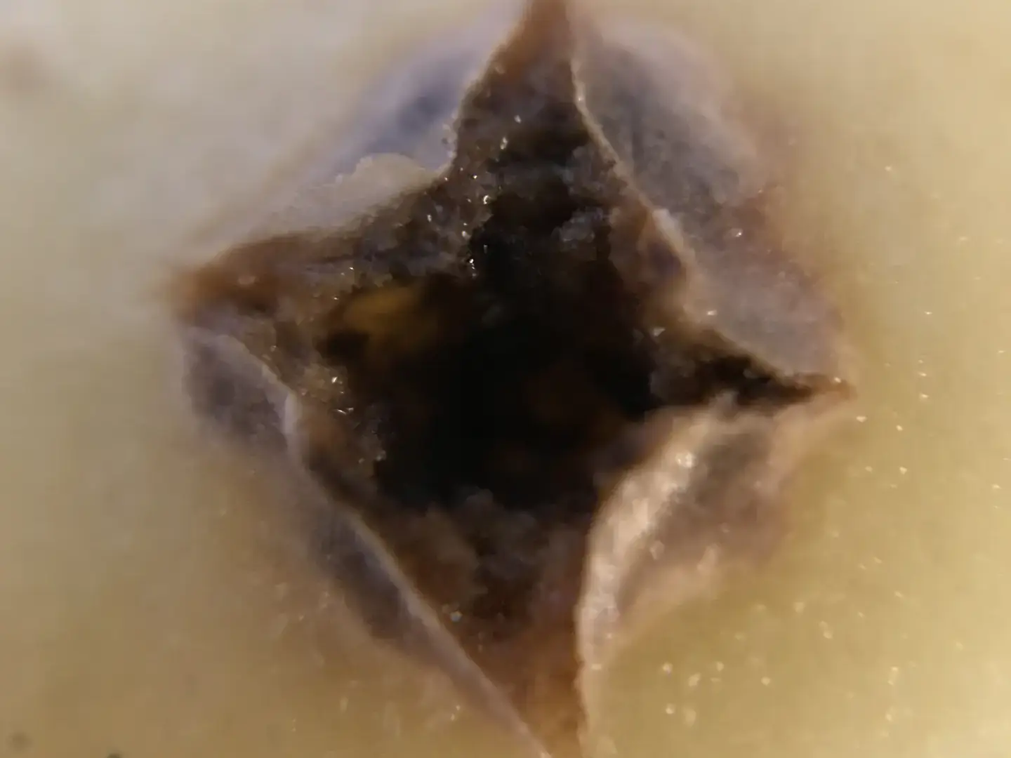 A close-up of a dark potato lesion.