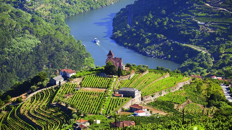 Bird's eye view of landscape in Douro Valley, Portugal
