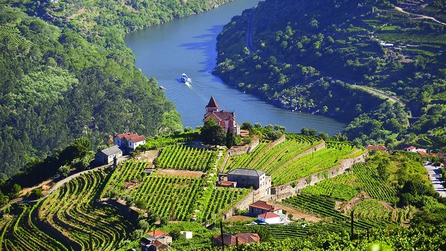 Bird's eye view of landscape in Douro Valley, Portugal