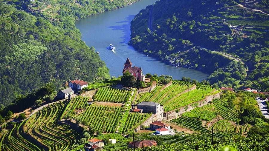 Bird's eye view of landscape in Douro Valley, Portugal