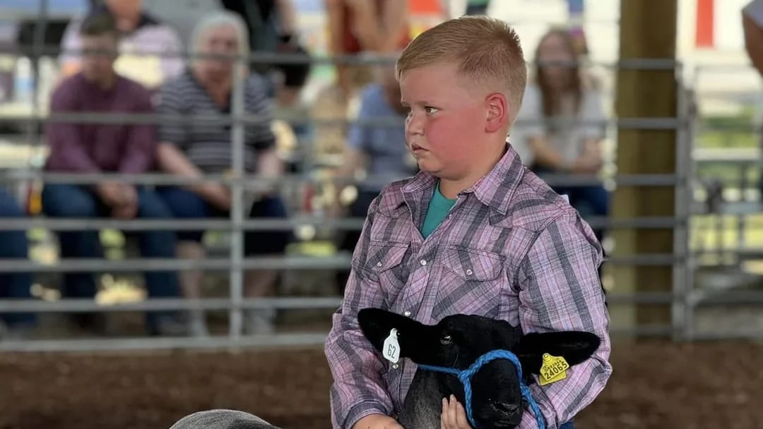 4-H photos and files located in counties