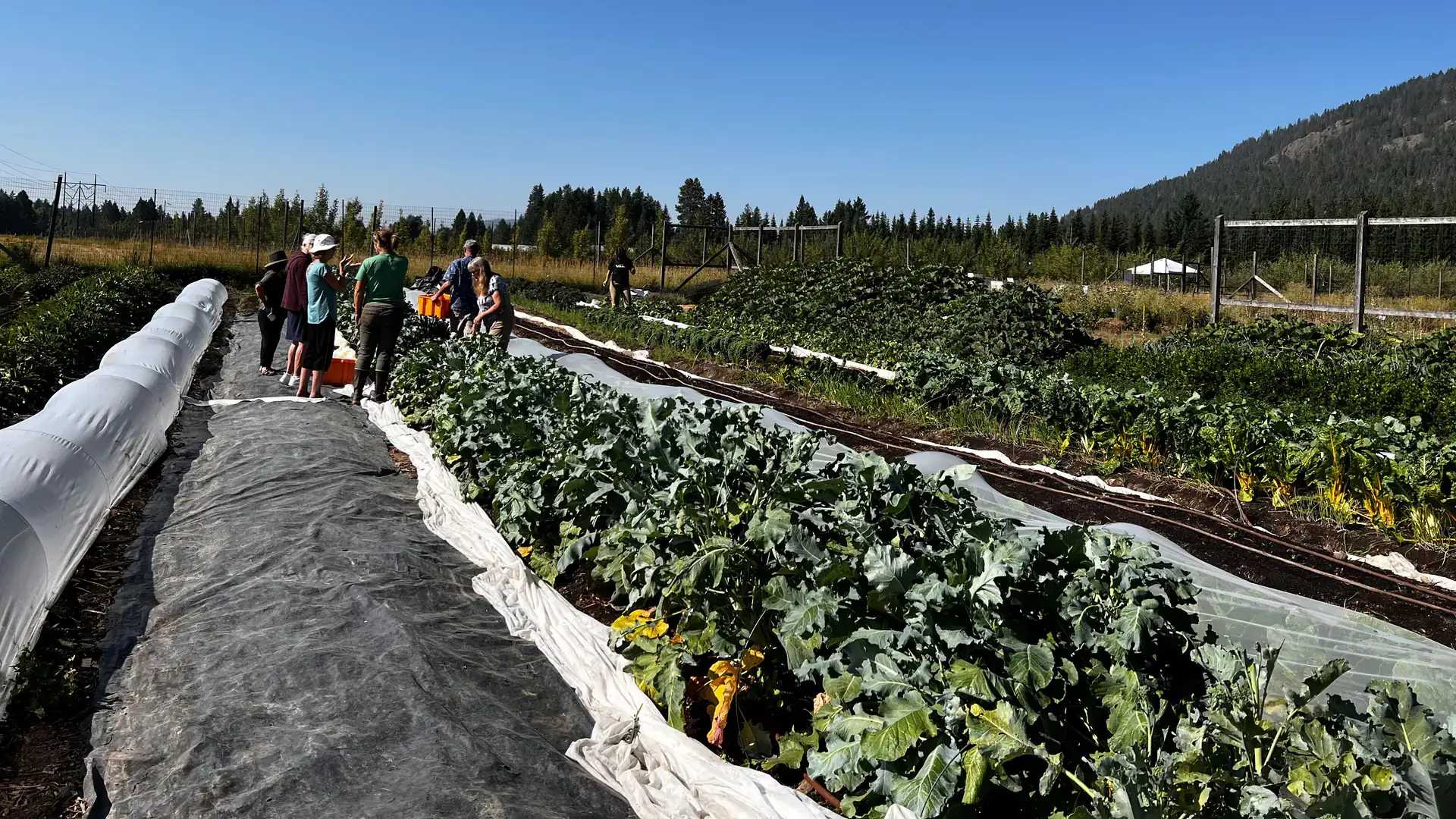 UI Extension program photos and files in counties