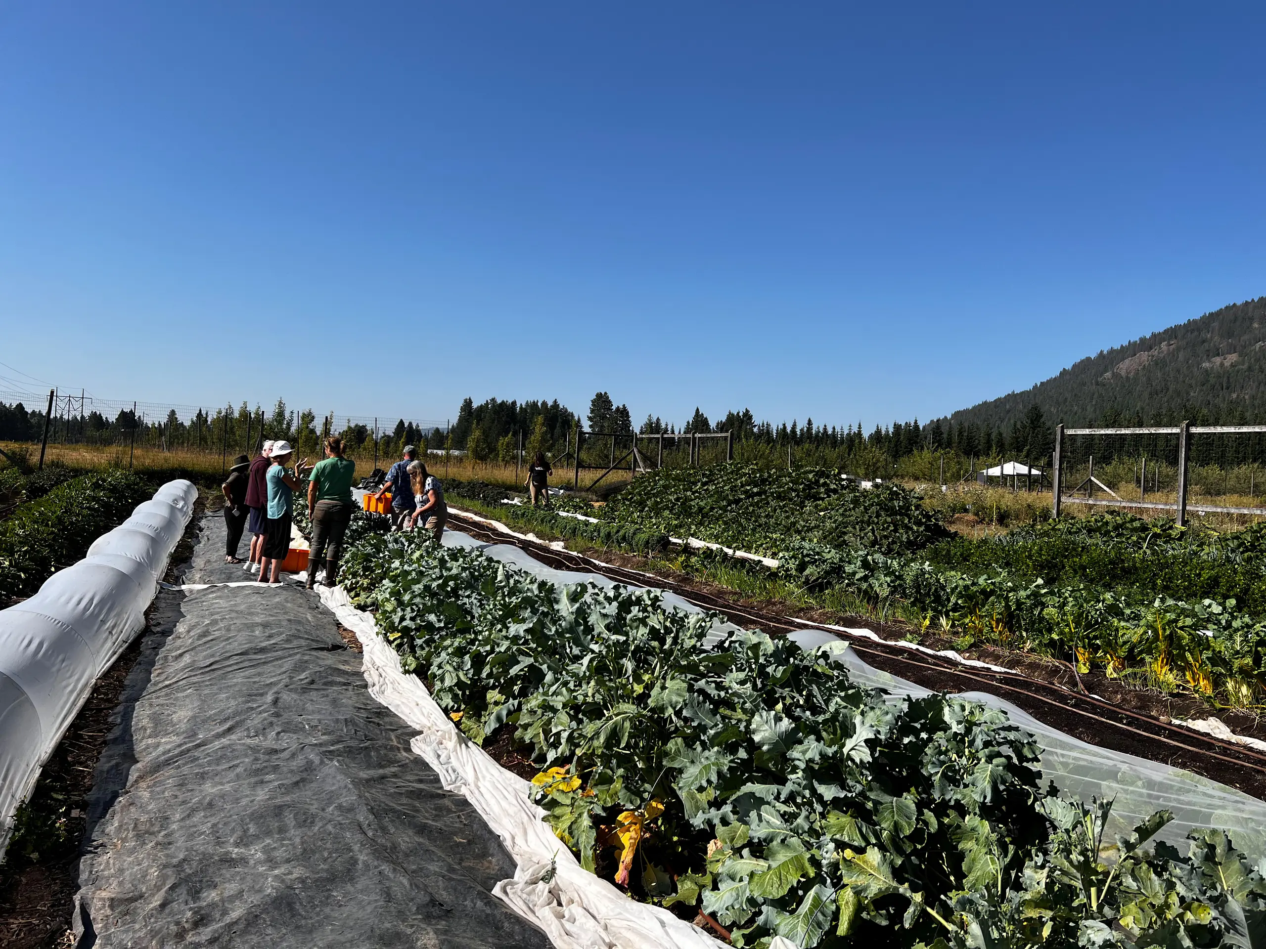 UI Extension program photos and files in counties