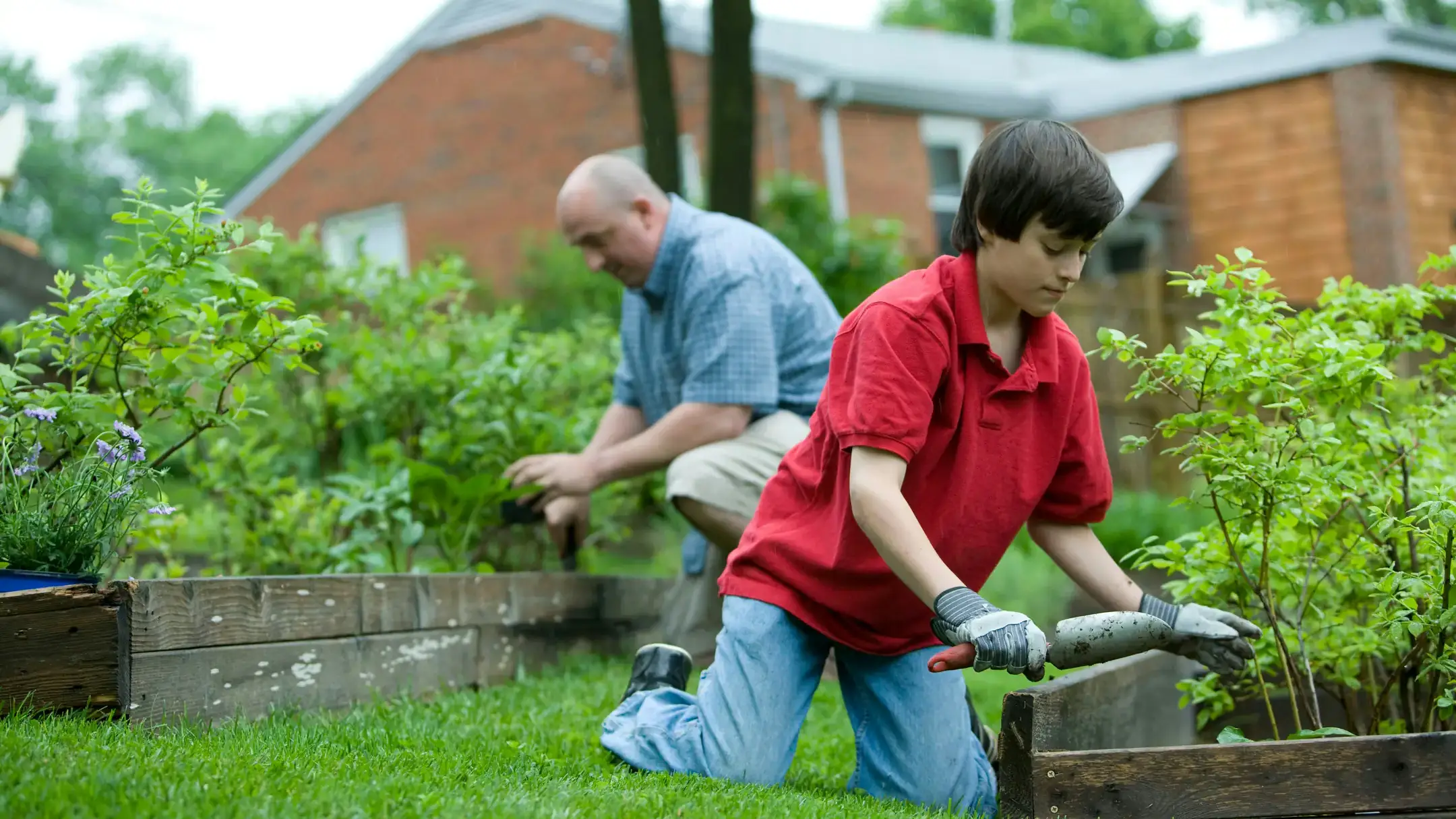 People working in the garden
