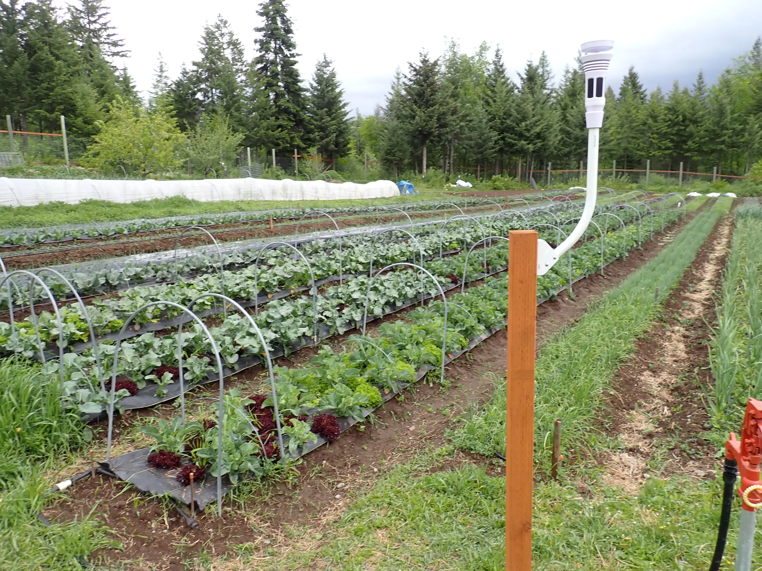 UI Extension program photos and files in counties