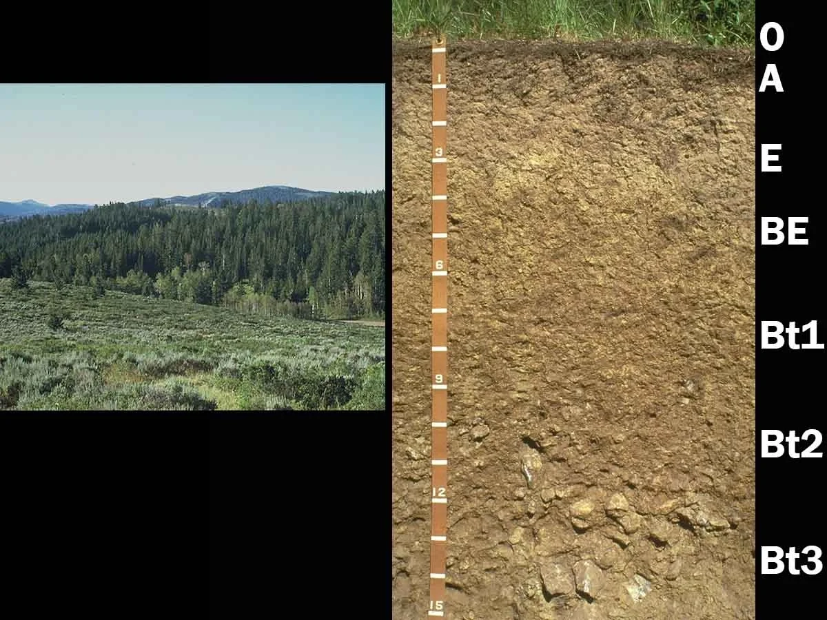 Alfisols - Haplocryalf, southeastern Idaho — This landscape and soil are typical of the mountainous areas of southeastern Idaho at elevations ranging from approximately 2,000-4,240 m (6,600-8,000 ft).