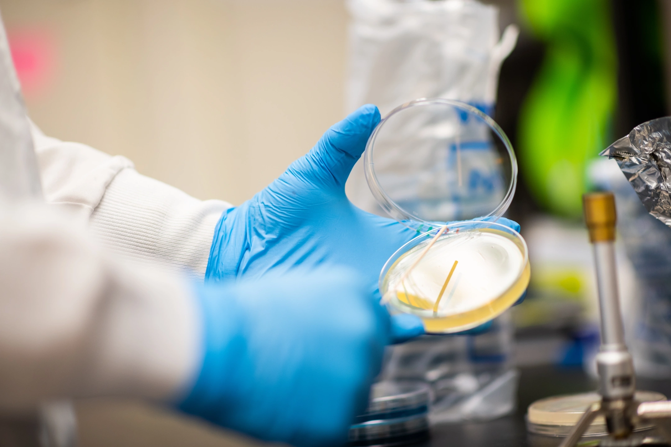 College of Science student team feature in Paul Rowley lab for published research